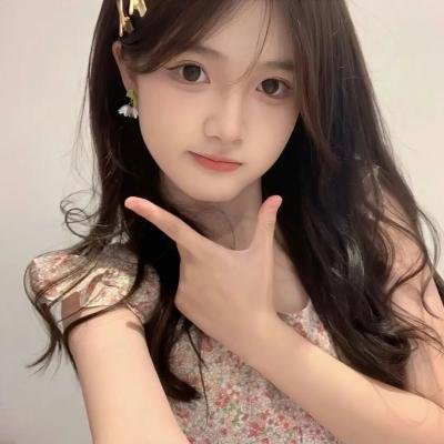 少年间谍第一季